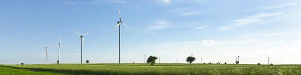 Les alternatives légales à l'ashwagandha en France